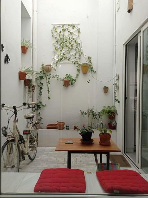 Town House With Rooftop Terrace