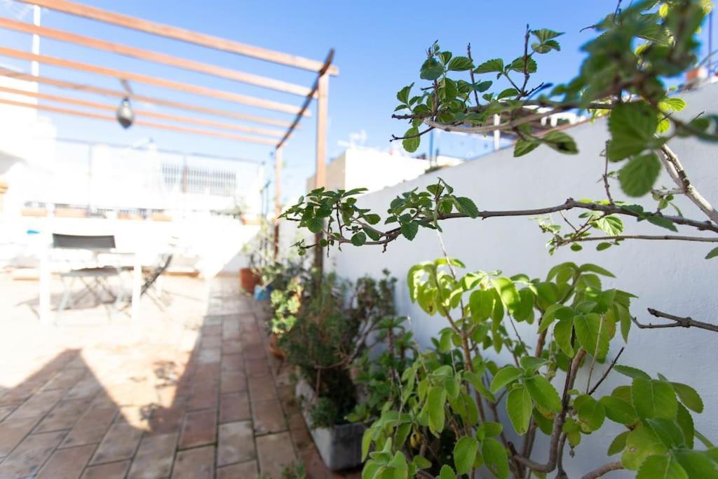Hébergement de vacances Town House With Rooftop Terrace
